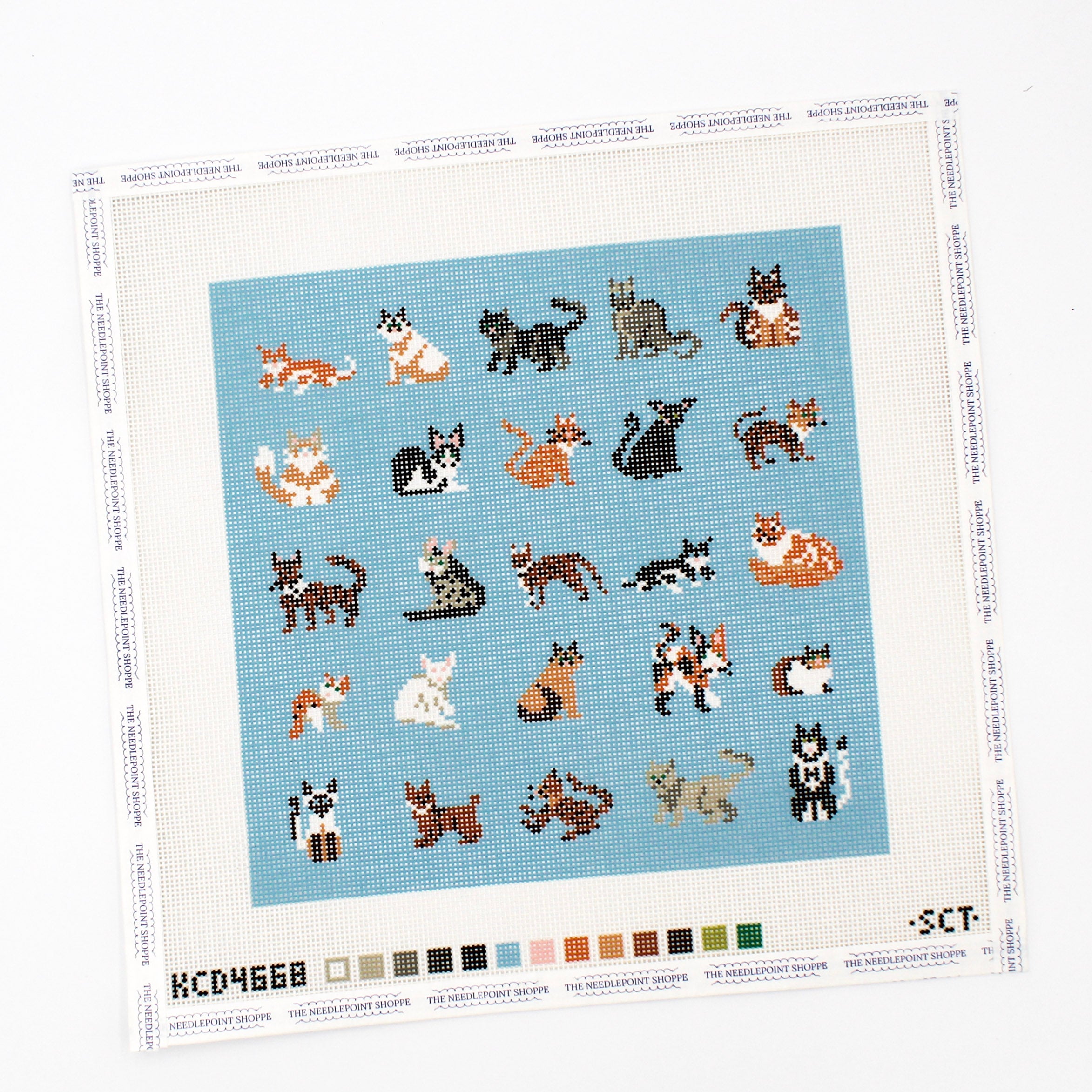 Blue Cat Square
