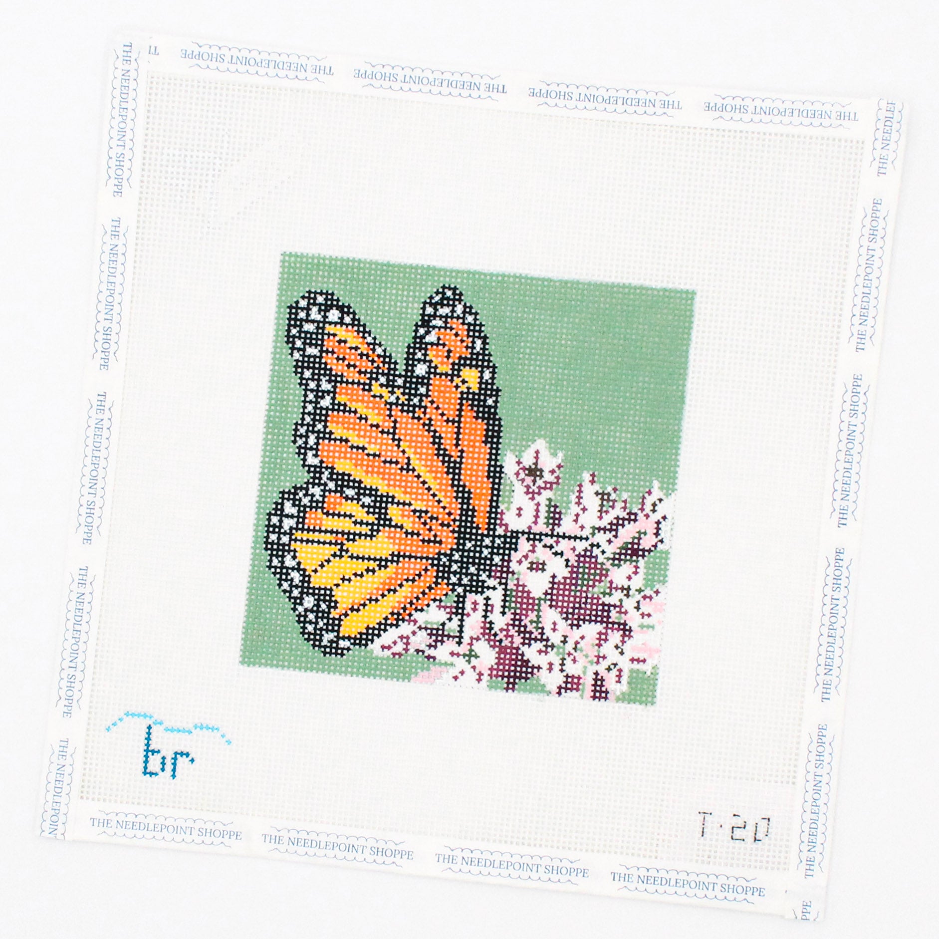 Monarch on Milkweed