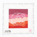 JT275 Rose