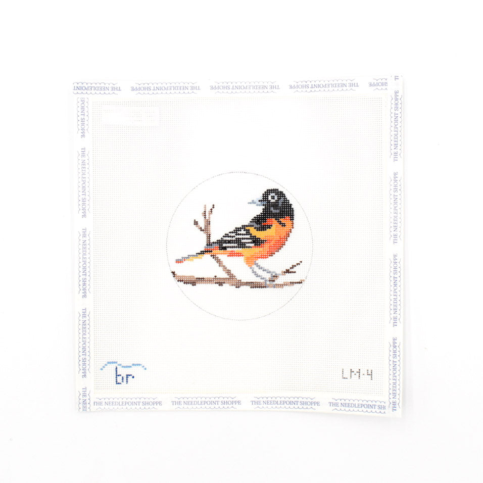 Baltimore Oriole
