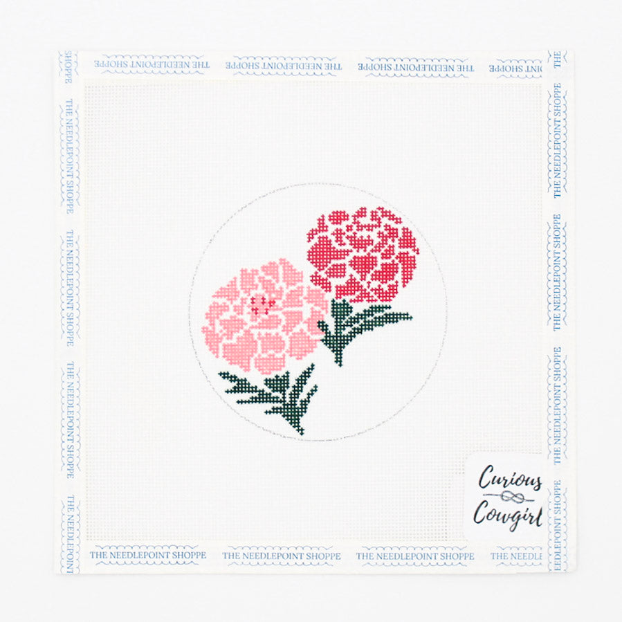 Red and Pink Carnations