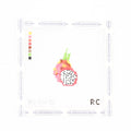 Dragon Fruit Mini