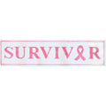 BC Survivor