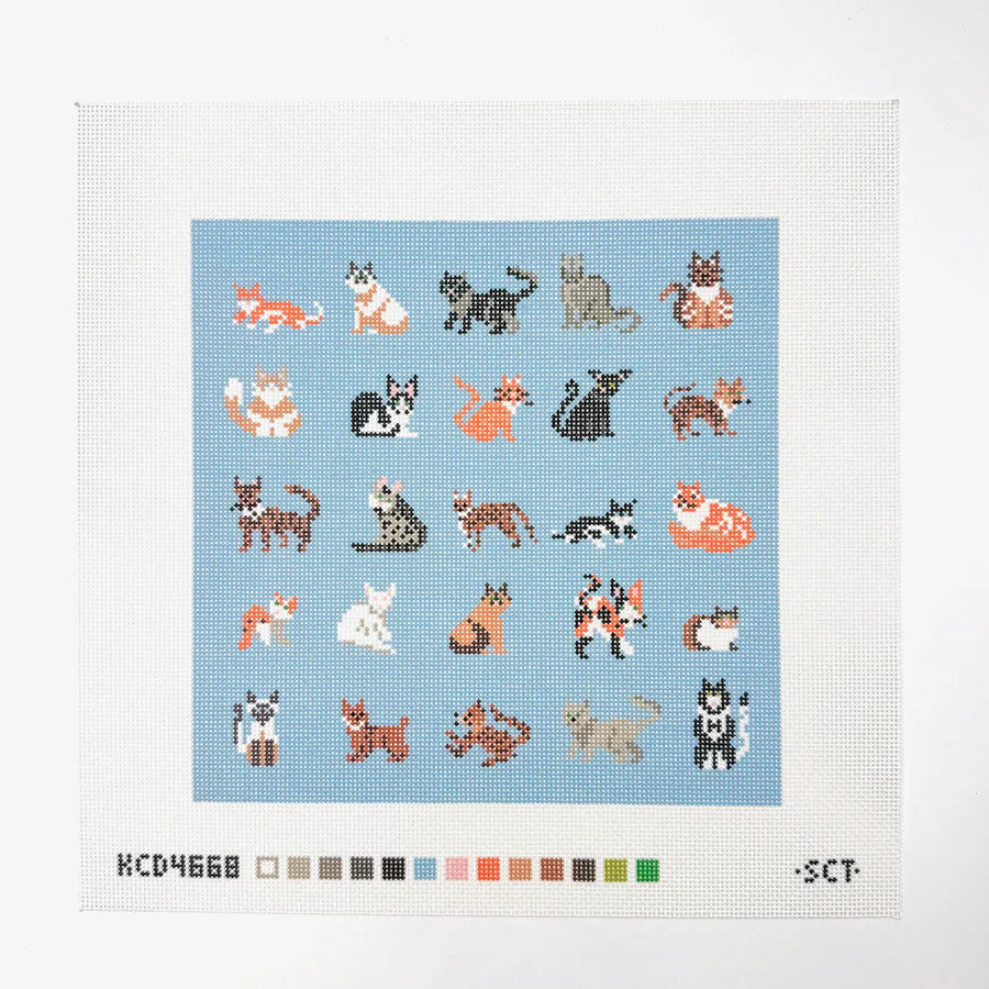 Blue Cat Square