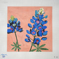 Bluebonnet