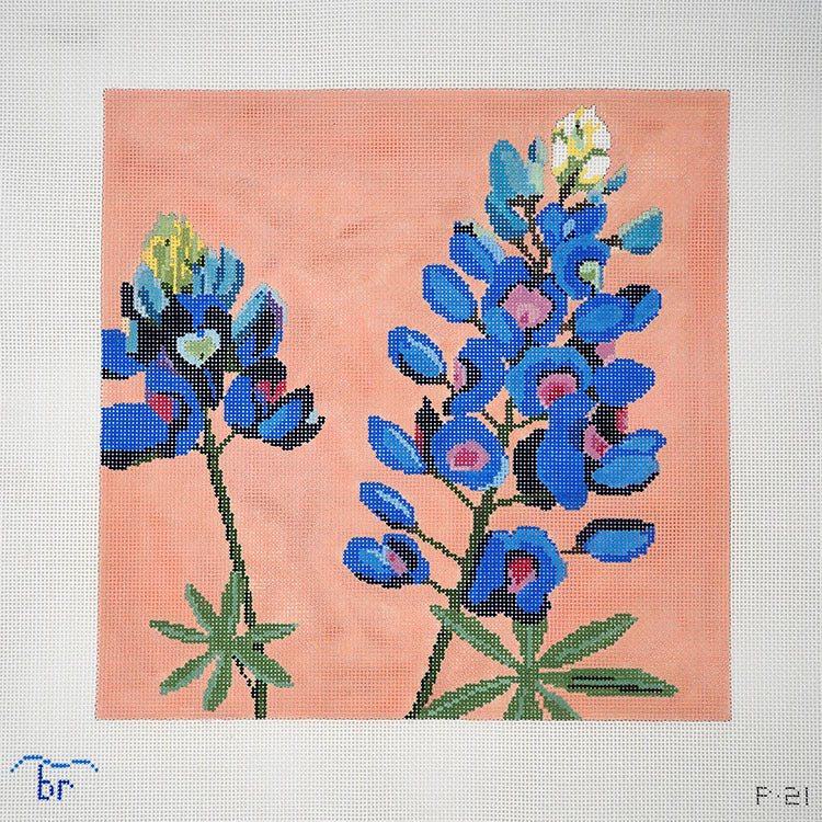 Bluebonnet