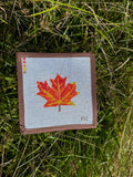 Bright Fall