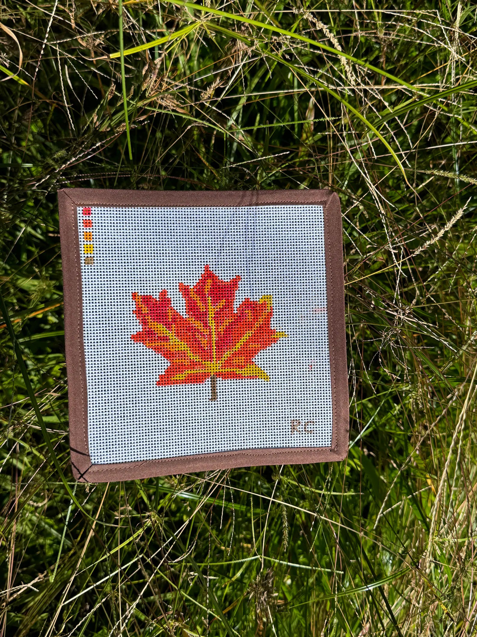 Bright Fall