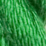 Vineyard Silk Thread by Wiltex