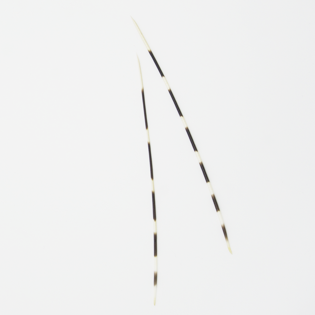 Laying Tool