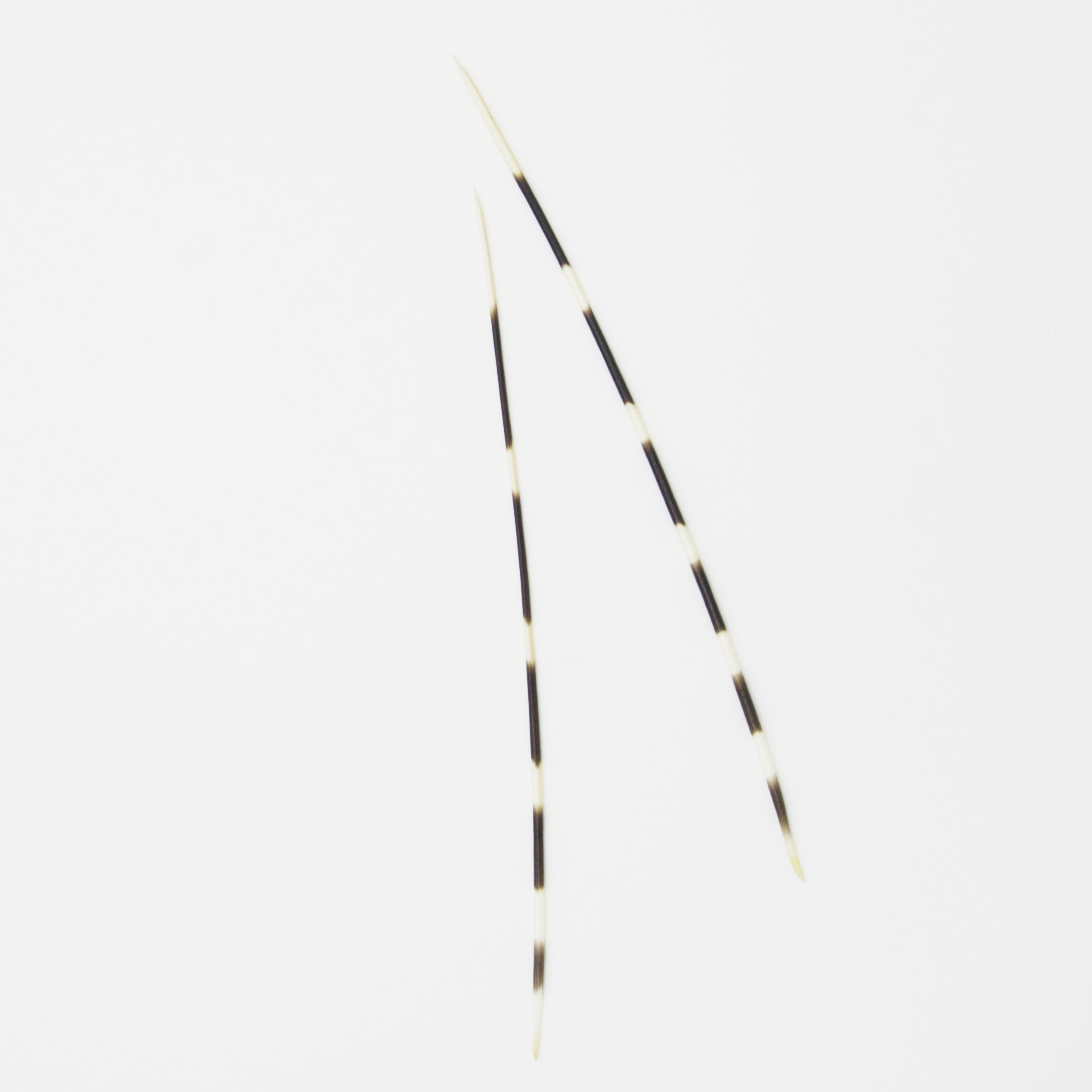 Laying Tool