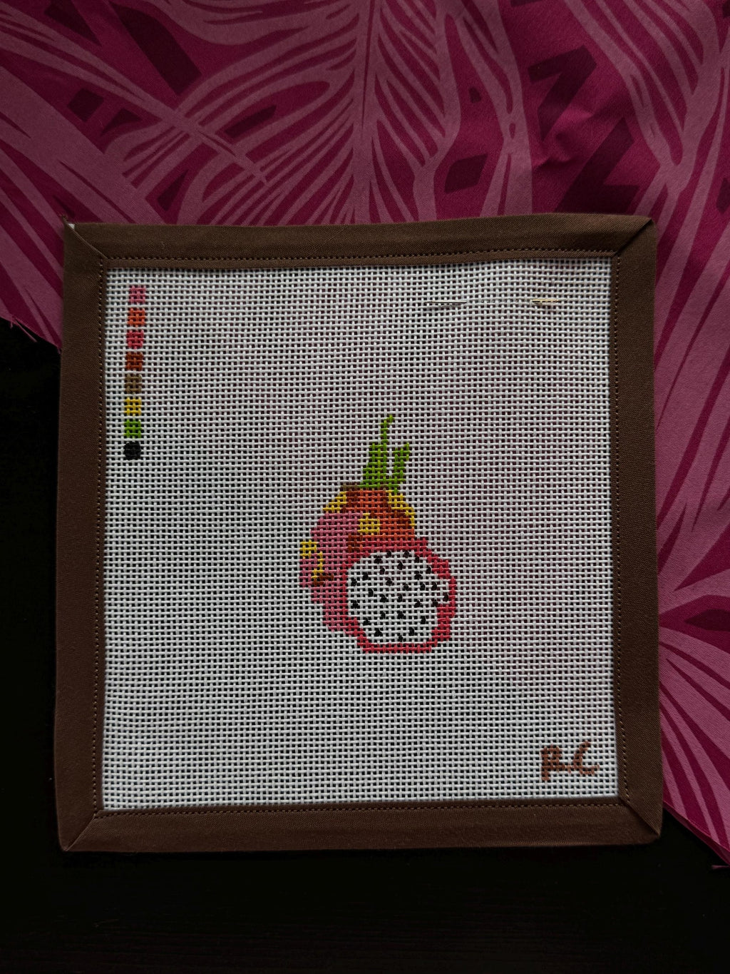 Dragon Fruit Mini