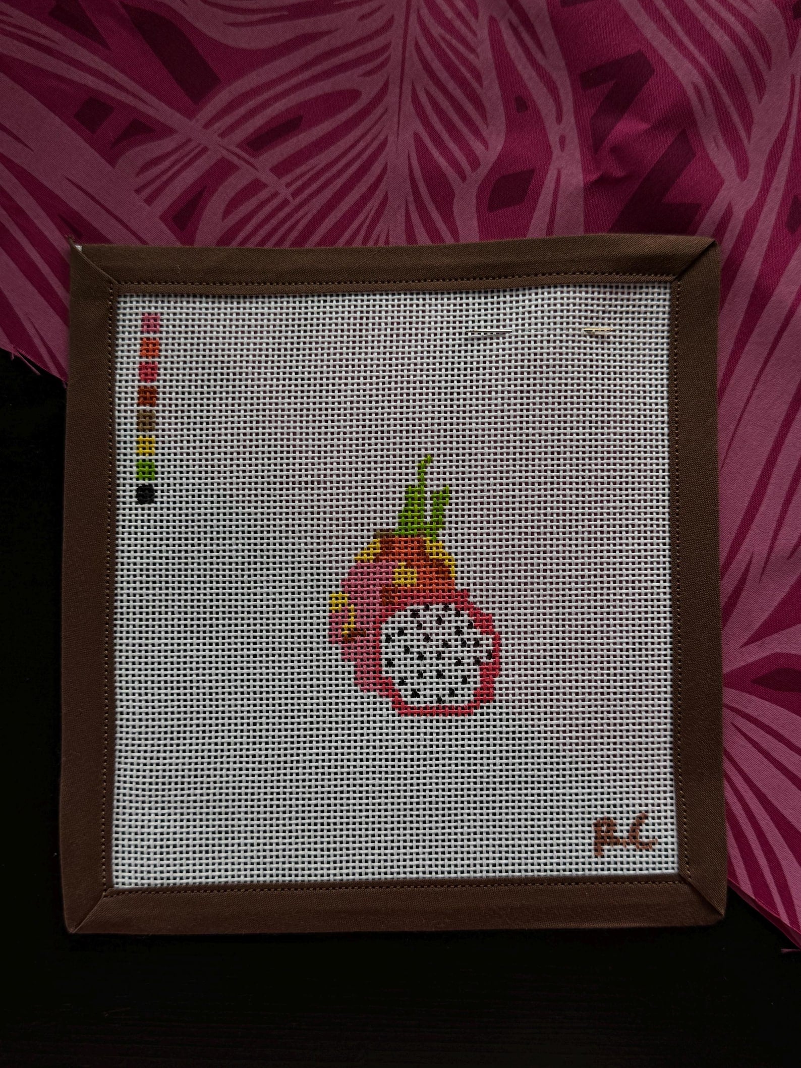 Dragon Fruit Mini