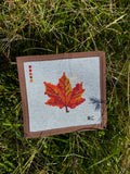 Dreaming of Fall