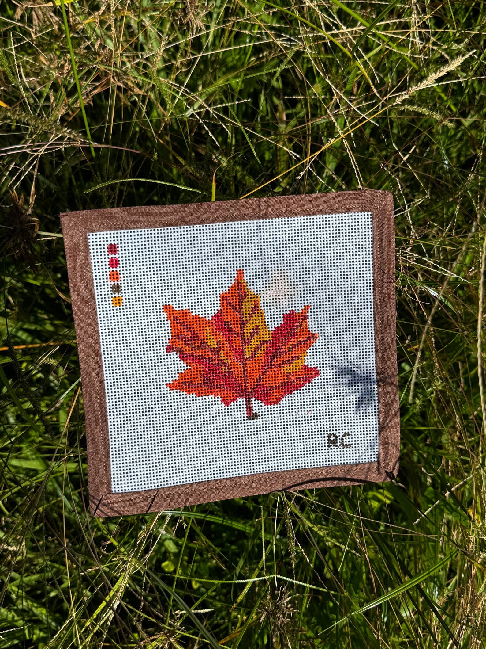 Dreaming of Fall