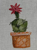 Cactus w/ Flower on top