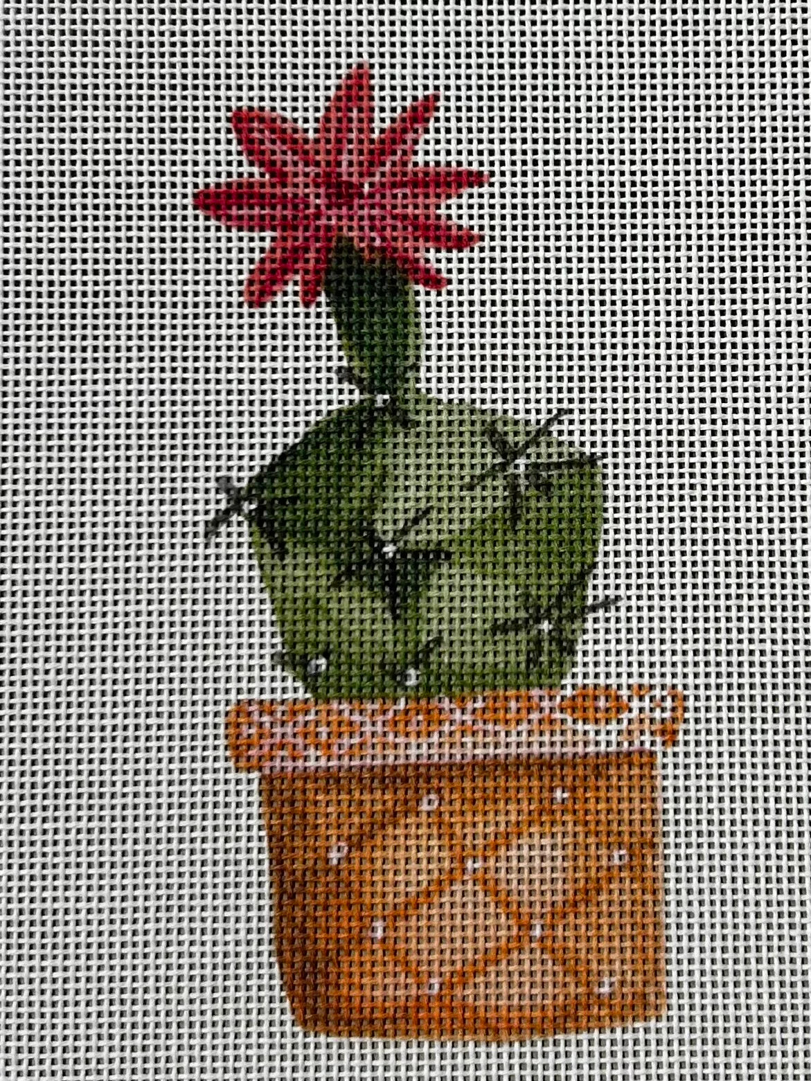 Cactus w/ Flower on top