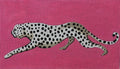 CL049- Cheetah on Pink