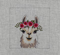 IN274- Baby Llama