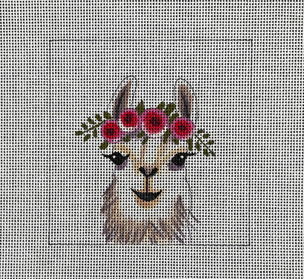 IN274- Baby Llama
