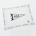 USA Pennant Flags