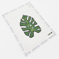 Monstera Leaf