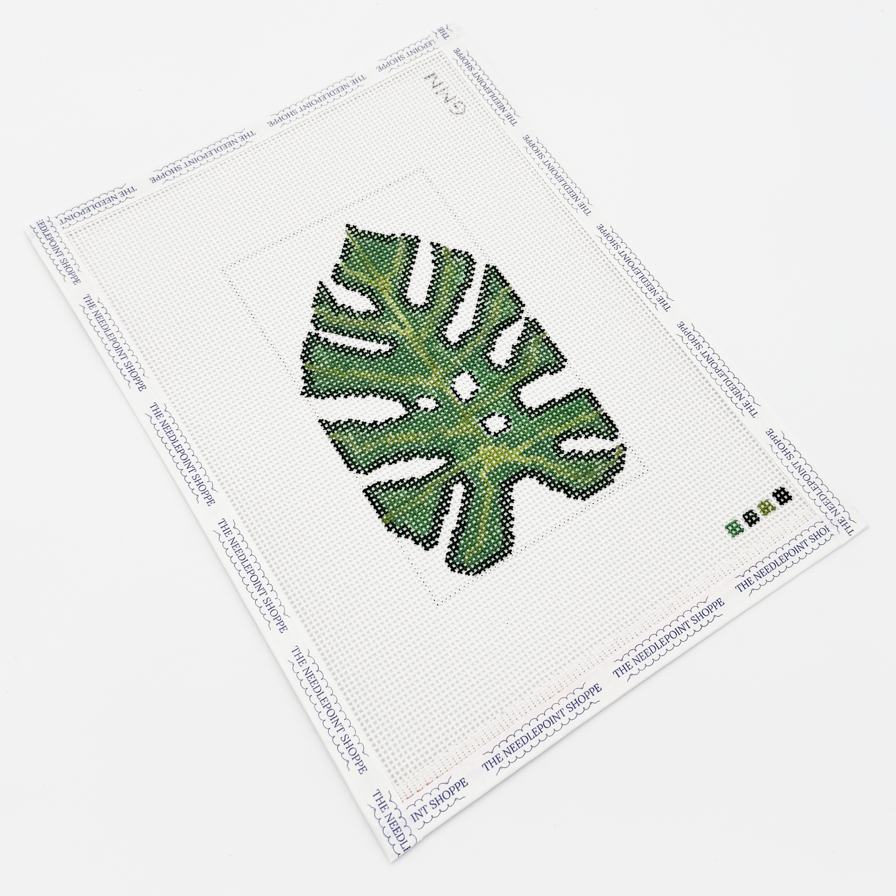 Monstera Leaf