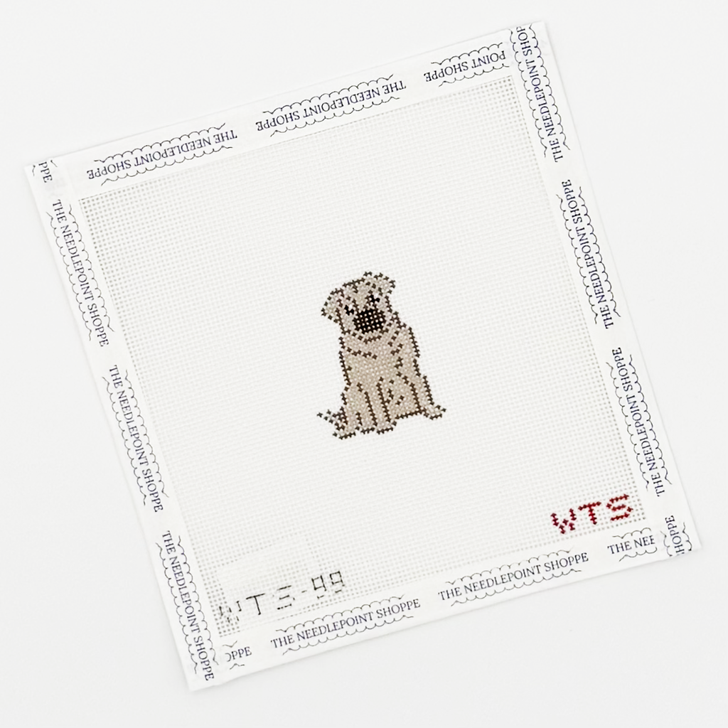 Mini Pug