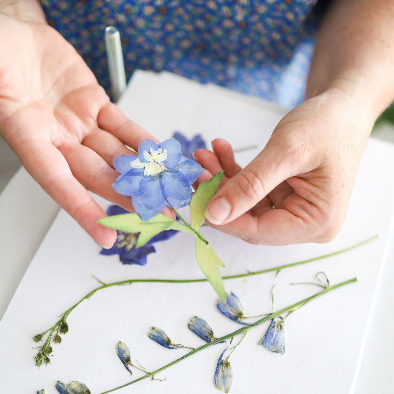 Pressed Flower Workshop with Lynn