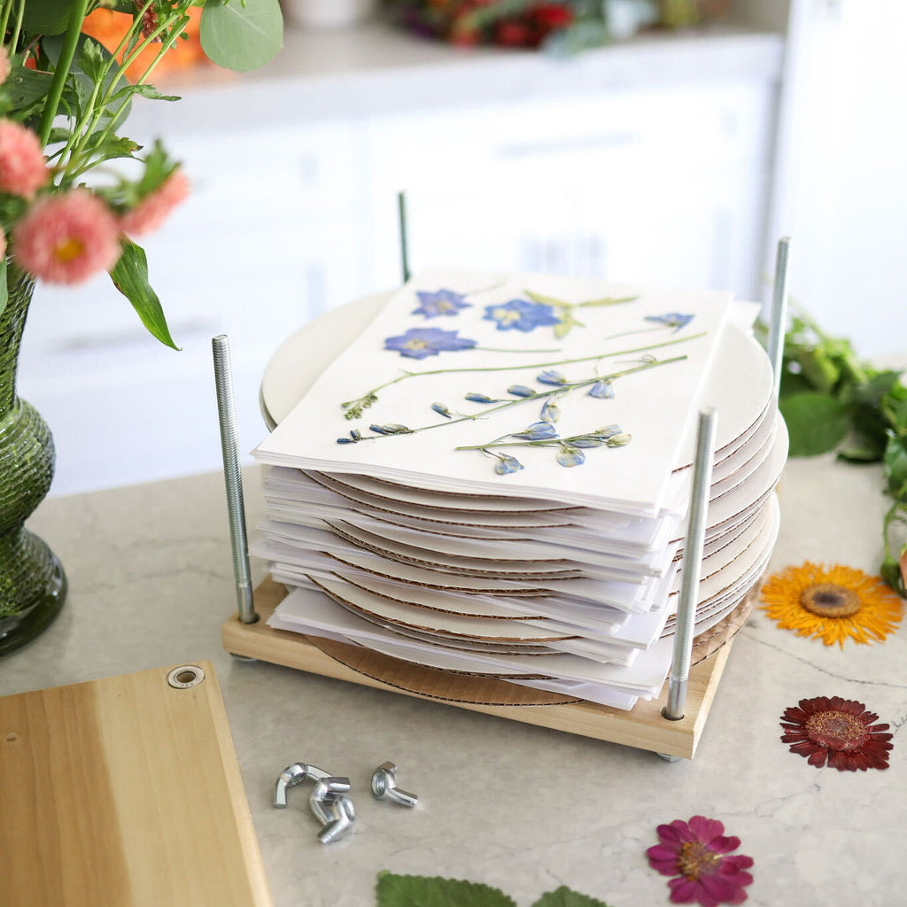Pressed Flower Workshop with Lynn