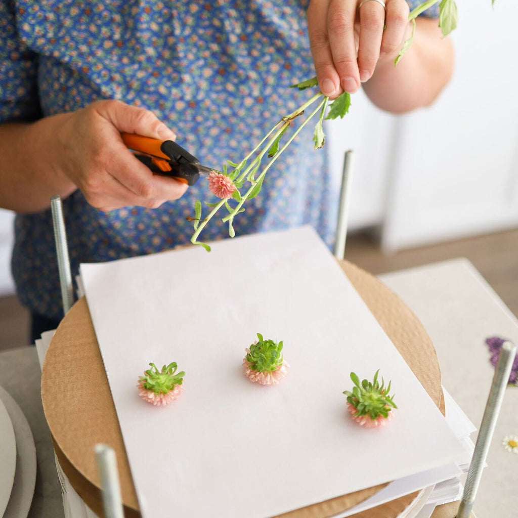 Pressed Flower Workshop with Lynn