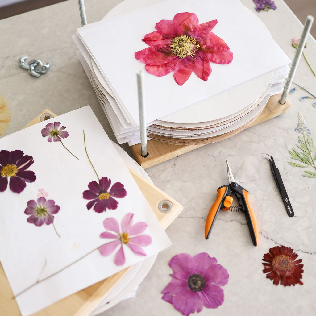Pressed Flower Workshop with Lynn