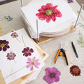 Pressed Flower Workshop with Lynn