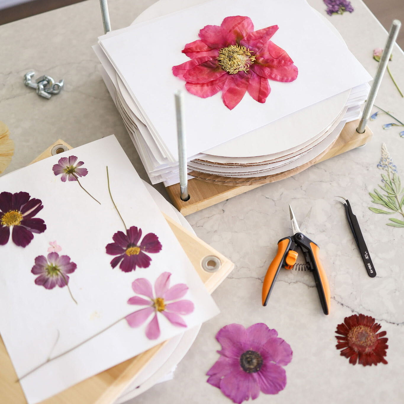 Pressed Flower Workshop with Lynn