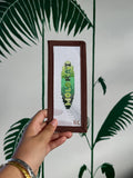 Molokai Surfboard