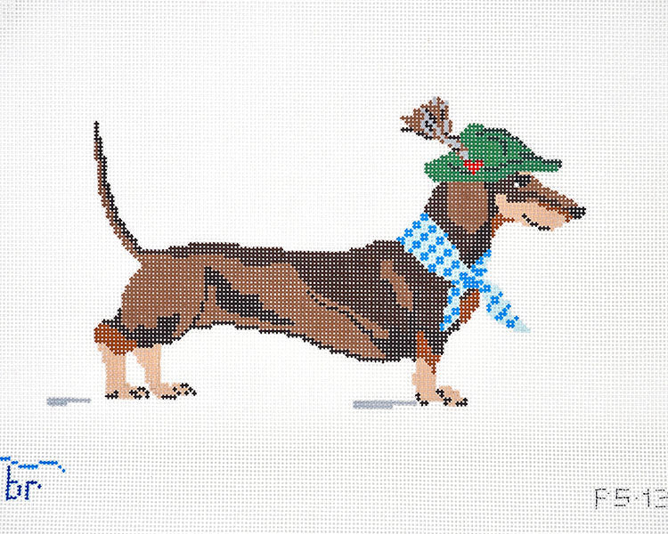 Dackel (dachshund) (13m)