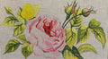 Colors of Praise FF231 11x6 18M
