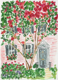 Charleston Pink House & Cherry Tree